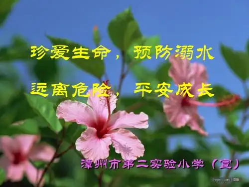 防溺水课件