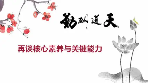 再谈核心素养与关键能力