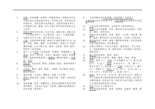 动物解剖学