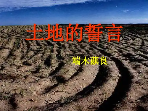 9、土地的誓言