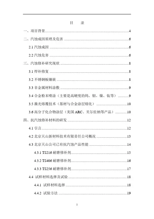 汽蚀修补新技术研究及应用研究报告