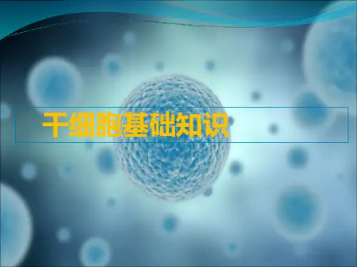 干细胞PPT