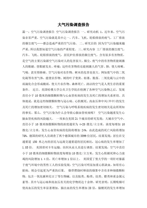 大气污染调查报告