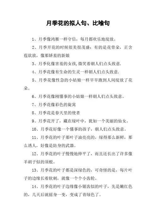 作文-月季花的拟人句、比喻句