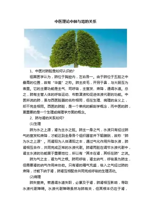 中医理论中肺与肾的关系