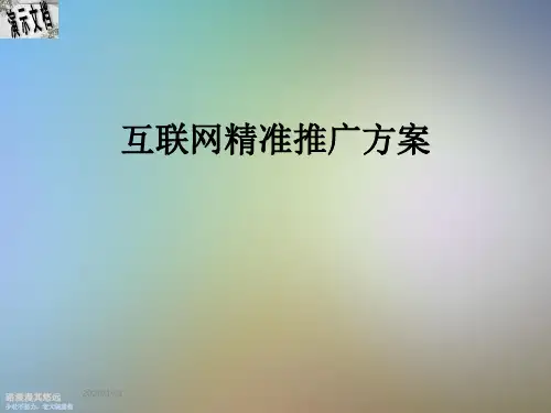 互联网精准推广方案