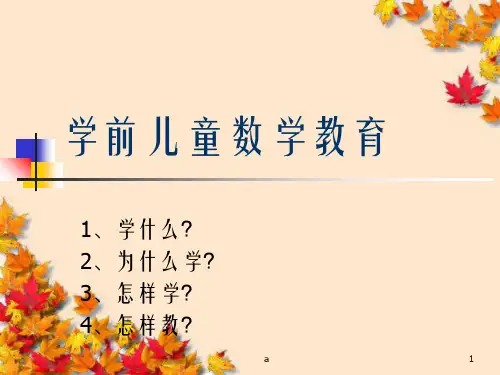 学前儿童数学教育