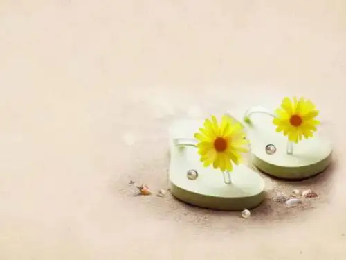 简洁优雅的PPT模板()