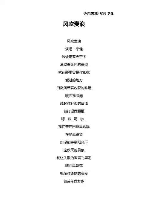 《风吹麦浪》歌词 李健
