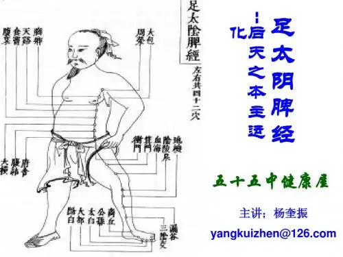 04足太阴脾经