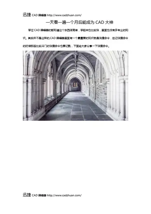 一天看一遍一个月后能成为CAD大神