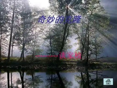 七年级语文奇妙的克隆