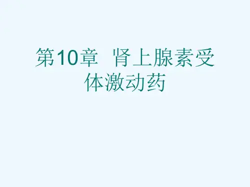 第10章  肾上腺素受体激动药[可修改版ppt]