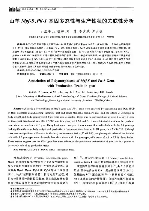 山羊Myf-5、Pit-1基因多态性与生产性状的关联性分析