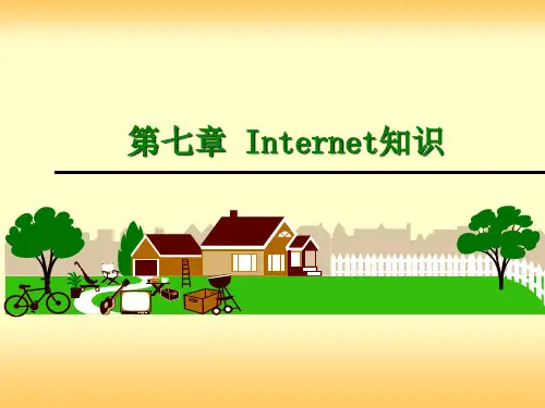 第7章：Internet知识