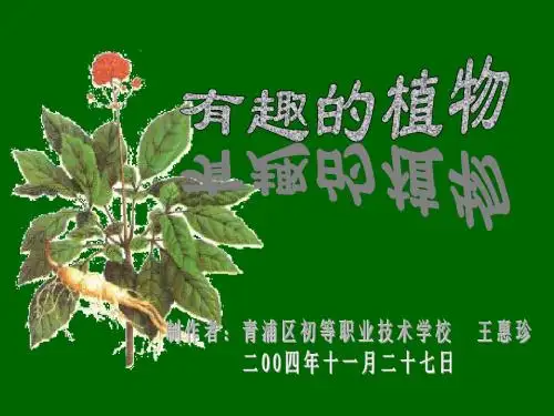 胎生狗脊蕨WoodwardiaproliferaHooketArn