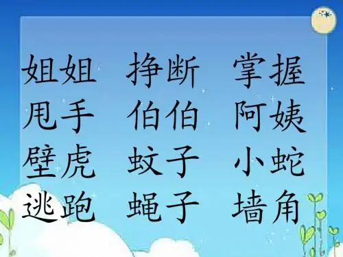 壁虎