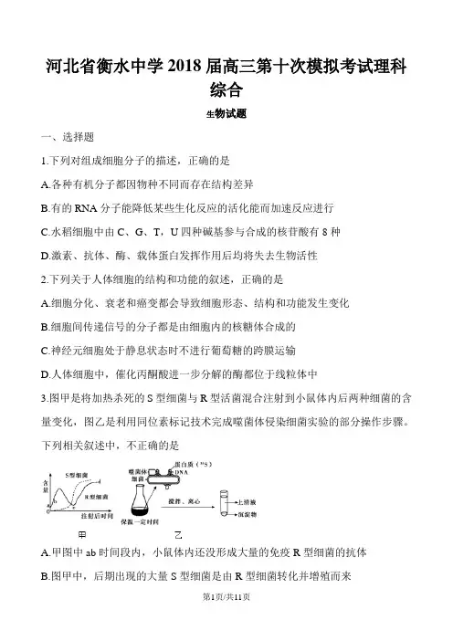 河北省衡水中学2018届高三第十次模拟考试理科综合生物试题