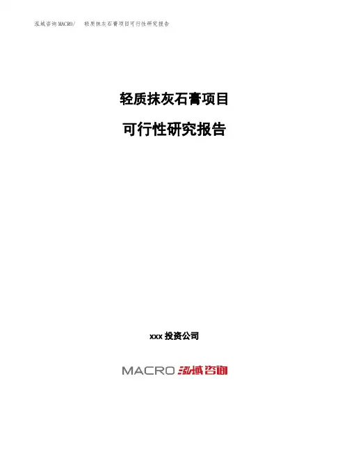 (投资参考建议模板)轻质抹灰石膏项目可行性研究报告