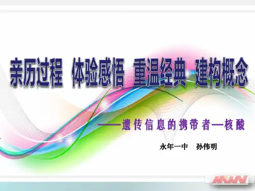 高中生物必修2《第2章遗传信息传递的结构基础第2节DNA贮存遗传信息》448北师大PPT课件