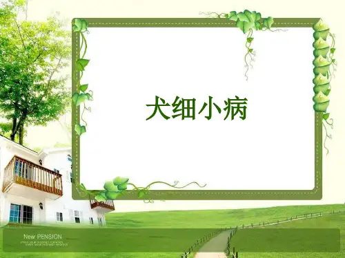 9犬细小病毒PPT课件