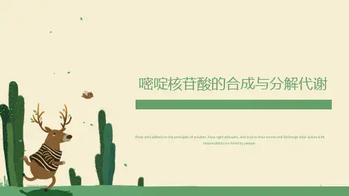 嘧啶核苷酸的合成与分解代谢PPT课件