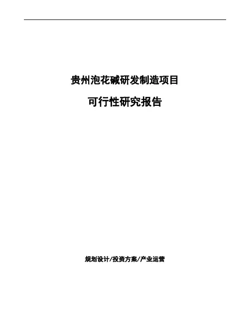贵州泡花碱研发制造项目可行性研究报告