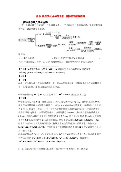 化学 铁及其化合物的专项 培优练习题附答案