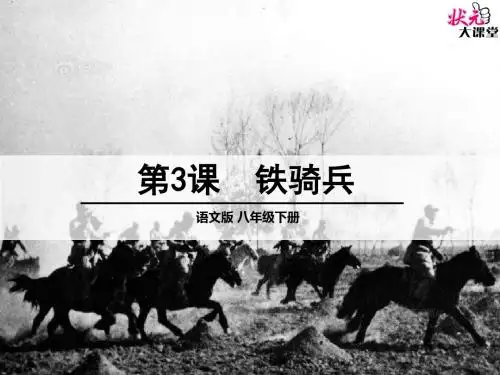 3 铁骑兵