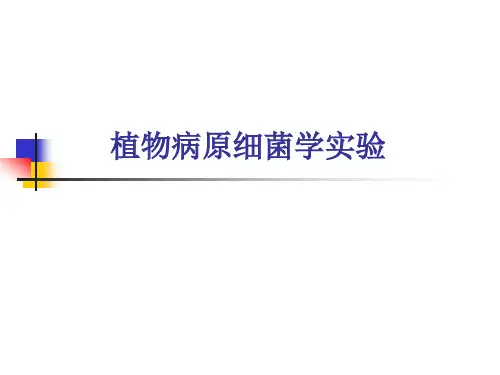 091218 植物病原细菌学实验课件
