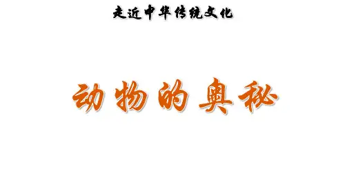 (赛课课件)人教( 部编版)一年级上册语文《 传统文化鉴赏：动物的奥秘》(共19张PPT)