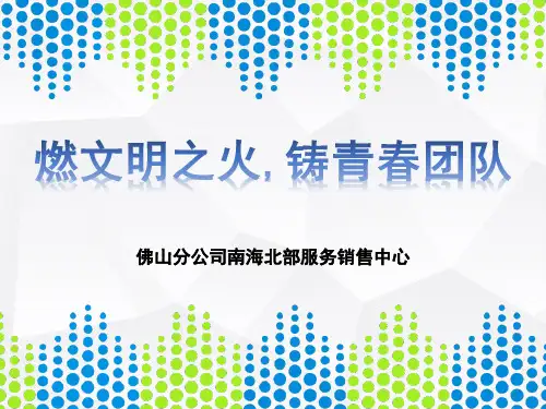 八佛山分公司南海公司北部区域(青年文明号)V8