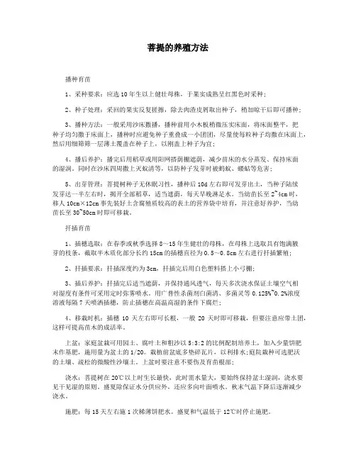 菩提的养殖方法