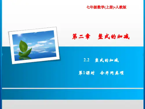 第2章 2.2 第1课时 合并同类项