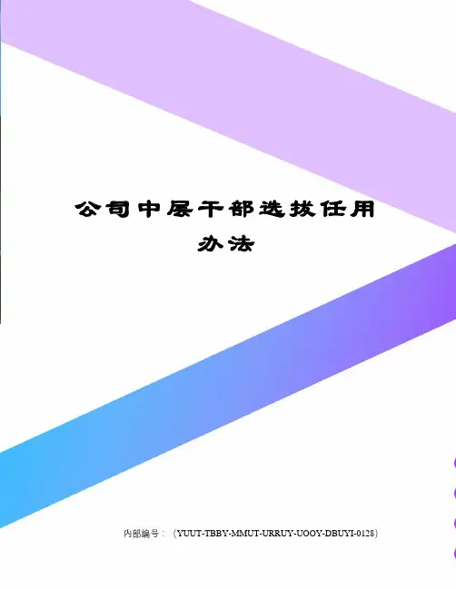 公司中层干部选拔任用办法