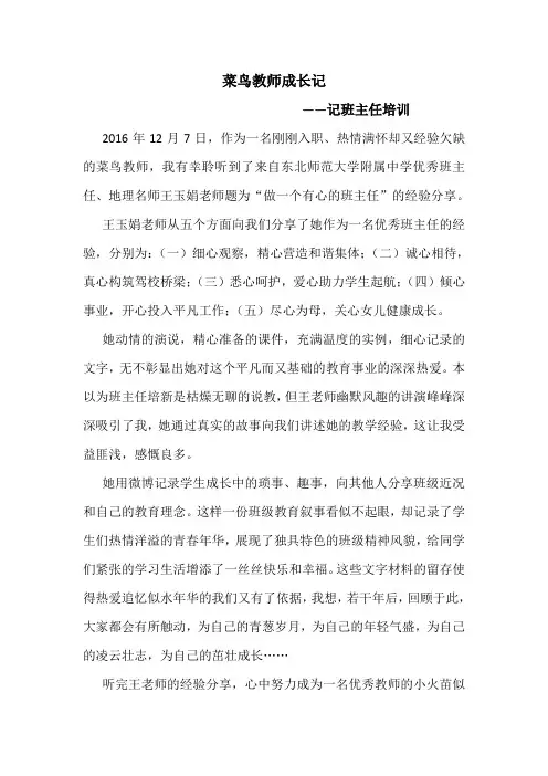 菜鸟教师成长记 鲁芮辰