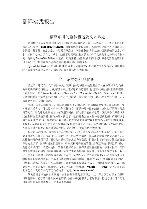 翻译实践报告