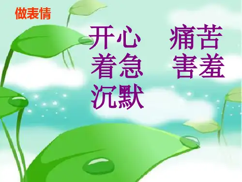 第17课《可贵的沉默》整理(2).PPT课件