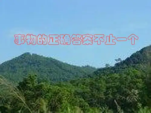 事物的正确答案不止一个s