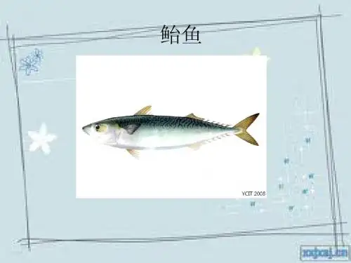 鲐鱼
