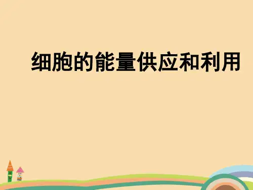 高二生物细胞的能量供应和利用PPT教学课件 (3)
