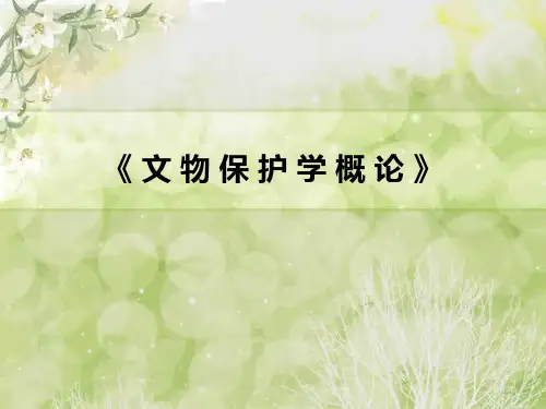 文物保护学概论(一)