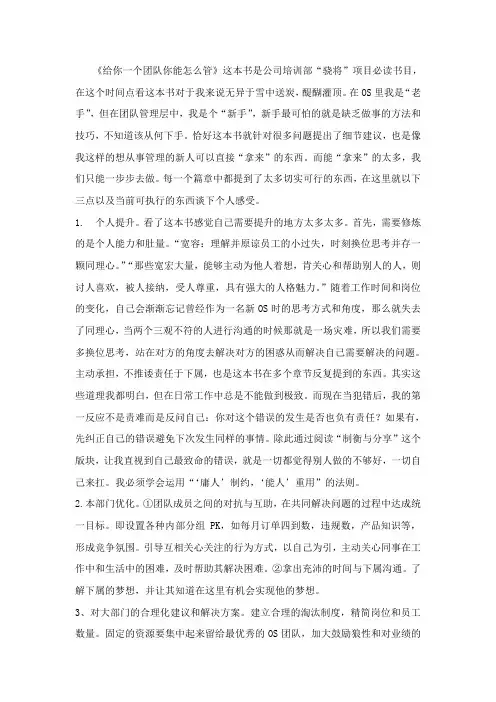给你一个团队,你能怎么管读后感