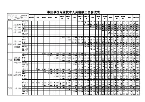 事业单位专业技术人员基本工资标准表_薪级工资套改表
