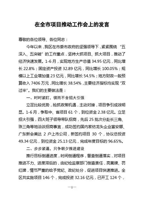在全市项目推动工作会上的发言