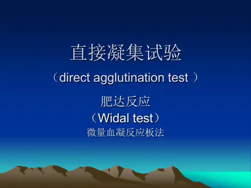 直接凝集试验(肥达反应)