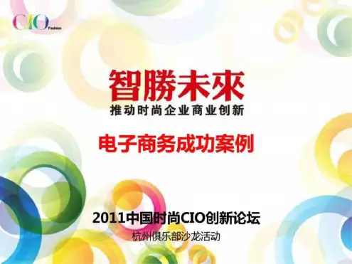 电子商务成功案例ppt