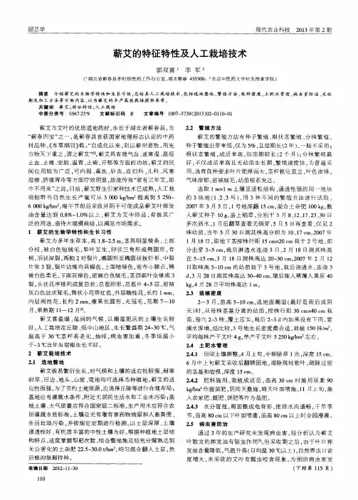 蕲艾的特征特性及人工栽培技术