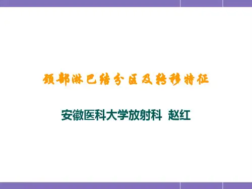 颈部淋巴结