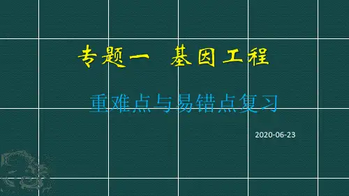基因工程  公开课(共11张PPT)